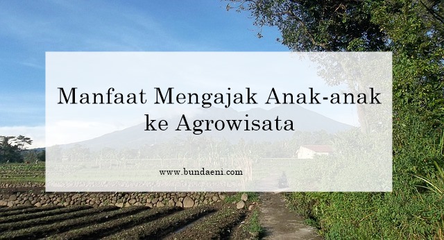 manfaat-mengajak-anak-anak-ke-agrowisata
