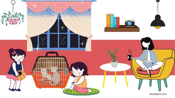 kami sedang memelihara kucing