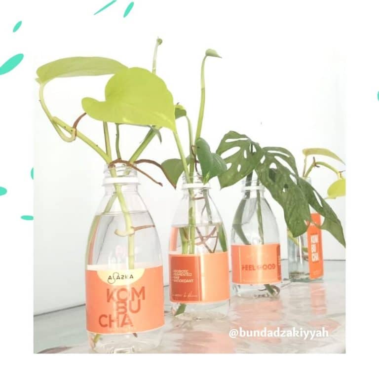 botol kombucha
