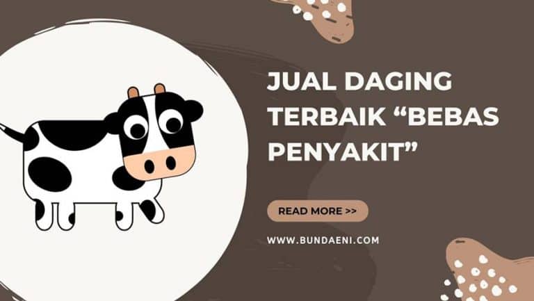 jual daging terbaik
