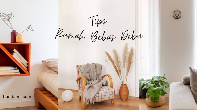 tips rumah bebas debu